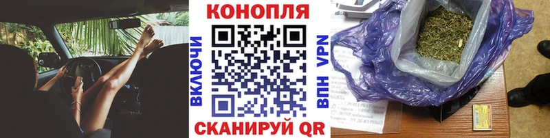 Где можно купить наркотики Шатура АМФЕТАМИН  Каннабис  Cocaine  МЕФ  Гашиш  А ПВП 
