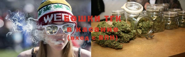 гидра Мегион