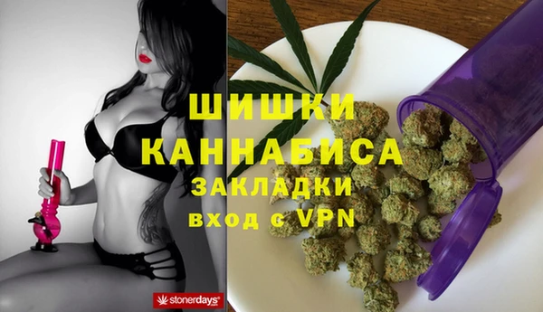 гидра Мегион