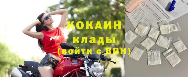 гидра Мегион
