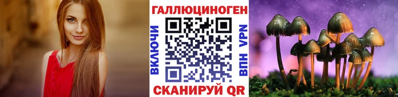 MEGA ТОР  Шатура  Галлюциногенные грибы MAGIC MUSHROOMS 