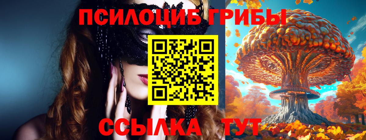 Псилоцибиновые грибы Magic Shrooms Шатура