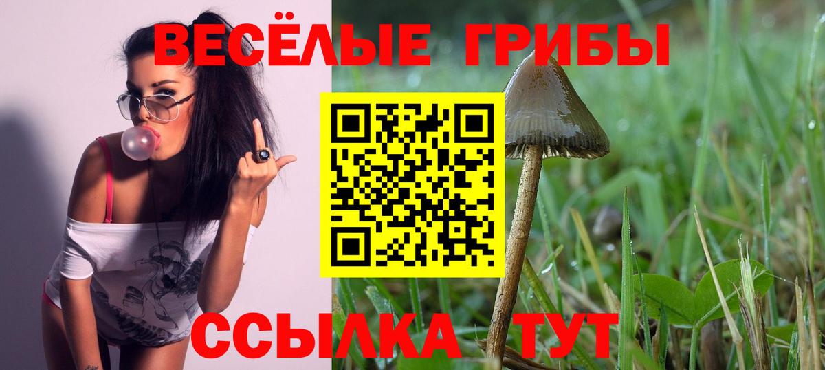 Псилоцибиновые грибы ЛСД  Галлюциногенные грибы Psilocybine cubensis  Шатура 